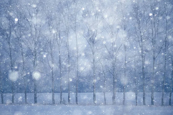 Zimní Pozadí Sníh Stromy Abstraktní Rozmazané Bílé — Stock fotografie