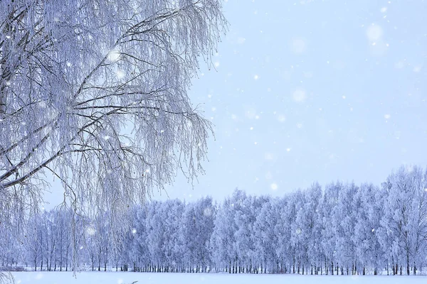 Χειμερινά Δέντρα Τοπίου Καλυμμένα Πάγο — Φωτογραφία Αρχείου