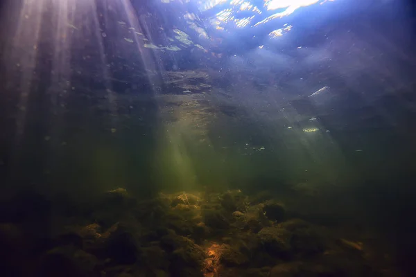 Güneş Işınları Suyun Altında Deniz Manzarası Tatlı Nehri Dalışı — Stok fotoğraf