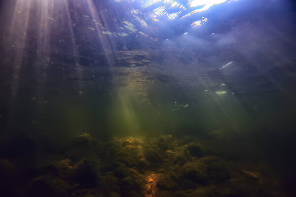 солнечные лучи под водным ландшафтом, дайвинг с морской водой