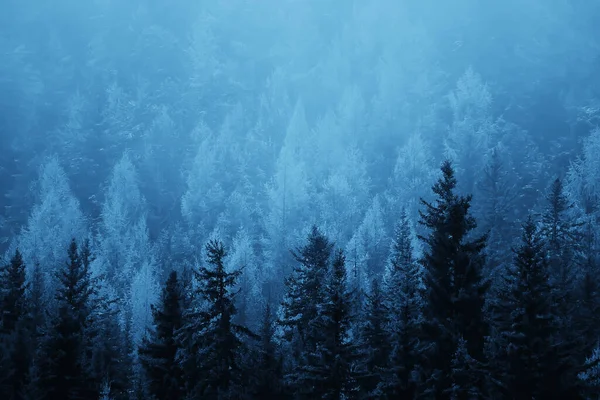 Autunno Nebbia Paesaggio Foresta Montagne Alberi Vista Nebbia — Foto Stock