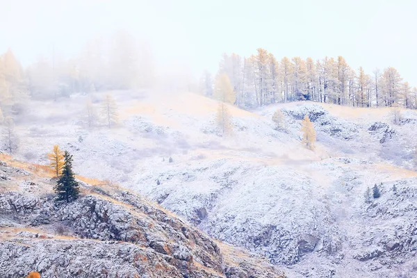 Höstskog Frost Snö Altai Landskap Vacker Natur — Stockfoto