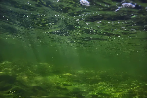 Zonnestralen Onder Water Landschap Zeegezicht Zoet Water Rivierduiken — Stockfoto