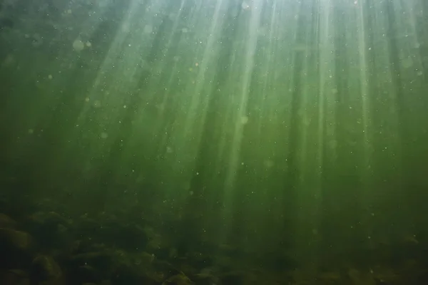 Underwater Fresh Water Green Background Sun Rays Water — Stock Photo, Image