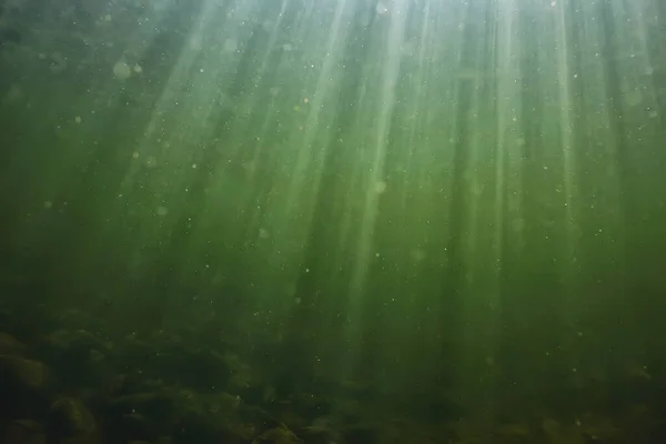 Unterwasser Süßwasser Grünen Hintergrund Mit Sonnenstrahlen Unter Wasser — Stockfoto