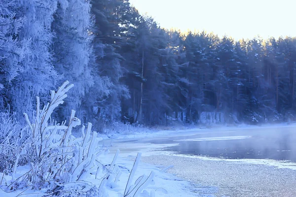 Krajina Řeka Zima Sezónní Pohled Voda Sníh Les — Stock fotografie