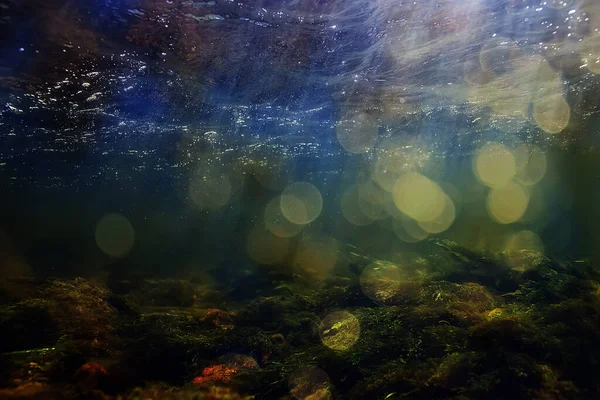 Солнечные Лучи Водным Ландшафтом Дайвинг Морской Водой — стоковое фото