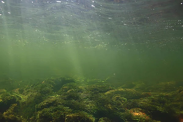 Sol Rayos Bajo Paisaje Del Agua Paisaje Marino Agua Dulce — Foto de Stock