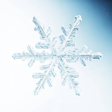 Kar tanesi beyaz arkaplan izole, soyut şeffaf kristal doğal fotoğraf makrosu
