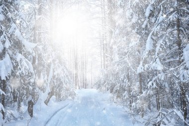 Kış arkaplan karları soyut beyaz bulanık