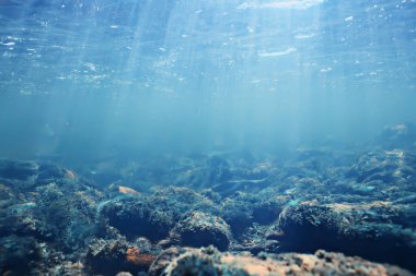 Güneş ışınları suyun altında, deniz manzarası tatlı su nehri dalışı