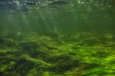 Güneş ışınları suyun altında, deniz manzarası tatlı su nehri dalışı