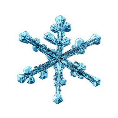 Beyaz arkaplandaki kartanesi izole nesne doğal fotoğraf kristali