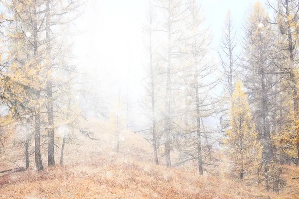 Осенний Ледяной Снег Алтайский Пейзаж Красивая Природа — стоковое фото