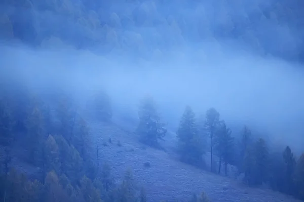 Осінній Туман Пейзаж Лісові Гори Вид Дерева Туман — стокове фото