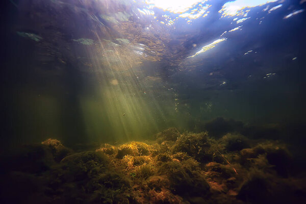 Sun rays under water landscape, seascape fresh water river diving