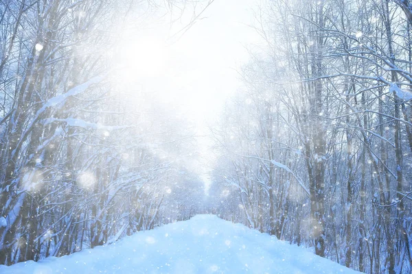 Vinter Bakgrund Snöfall Träd Abstrakt Suddig Vit — Stockfoto