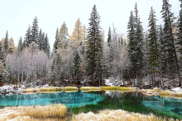 Geyser Μπλε Λίμνη Altai Χειμερινό Τοπίο Ορεινή Λίμνη Θερμική Άνοιξη — Φωτογραφία Αρχείου