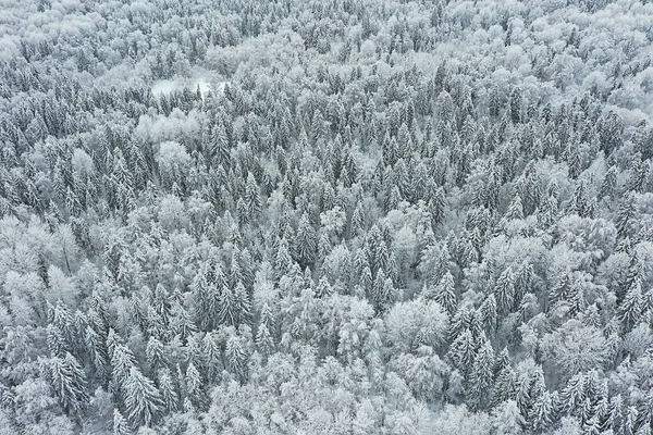 Stromy Les Mráz Vrchol Pohled Pozadí Abstraktní Drone Pohled Příroda — Stock fotografie