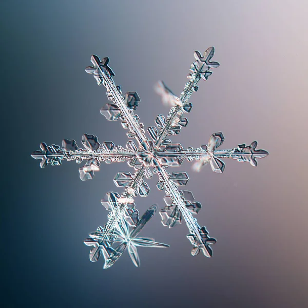 Snowflake Natural Crystal Single Isolate Transparent Abstract Photo Background — Stock Photo, Image