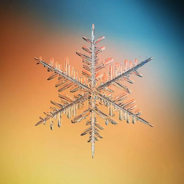 Lumihiutale Kristalli Makro Valokuva Luonnollinen Esine Talvi Suunnittelu — kuvapankkivalokuva
