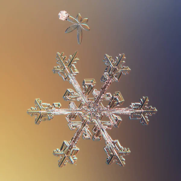 Snowflake Natural Crystal Single Isolate Transparent Abstract Photo Background — Stock Photo, Image