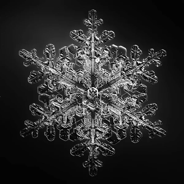 Zwarte Achtergrond Sneeuwvlok Geïsoleerd Abstract Object Winter Detail — Stockfoto