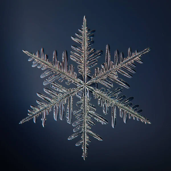 Black Background Snowflake Isolated Abstract Object Winter Detail — Stock Photo, Image