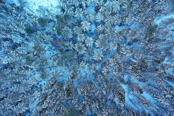 Trees Forest Frost Top View Background Abstract Drone View Nature — Stock Photo, Image