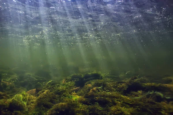水の風景の下に太陽の光 新鮮な水の川のダイビングを — ストック写真