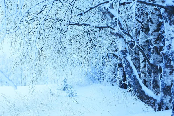 Winter Achtergrond Sneeuw Bomen Abstract Wazig Wit — Stockfoto