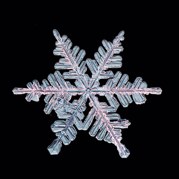 Black Background Snowflake Isolated Abstract Object Winter Detail — Stock Photo, Image