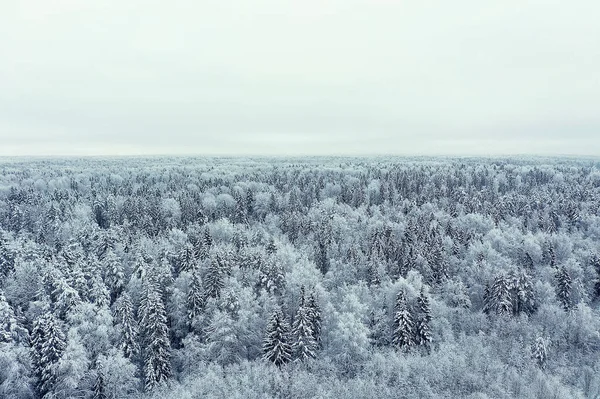Δέντρα Κηφήνας Παγετός Αφηρημένη Άποψη Φόντο Δεκέμβριος Τοπίο Υπαίθρια Δέντρα — Φωτογραφία Αρχείου