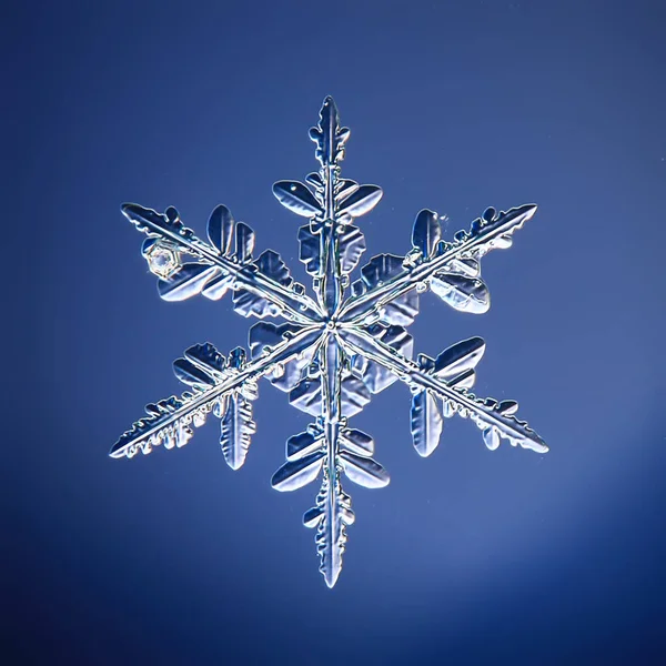 Kar Taneleri Kristal Makro Fotoğraf Doğal Nesne Kış Tasarımı — Stok fotoğraf