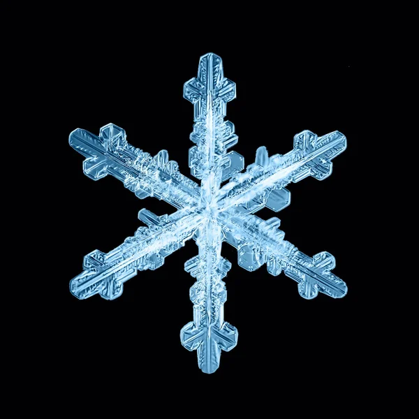 Černé Pozadí Sněhová Vločka Izolované Abstraktní Objekt Zimní Detail — Stock fotografie