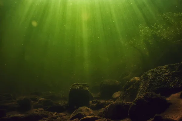 Fundo Verde Água Doce Subaquática Com Raios Sol Sob Água — Fotografia de Stock