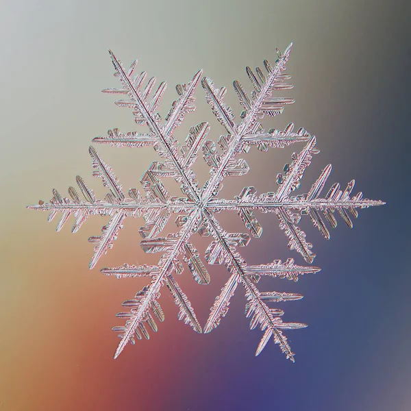 Schneeflocke Natürlichen Kristall Isolieren Transparente Abstrakte Foto Hintergrund — Stockfoto