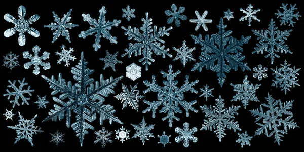 Snowflakes Isolate Black Background Abstract Ornament Winter Wallpaper Design Snowflake — Φωτογραφία Αρχείου