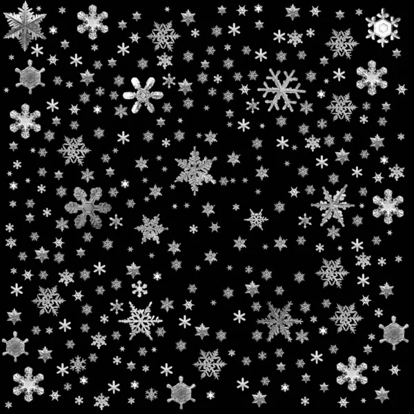 Flocos Neve Isolar Fundo Preto Ornamento Abstrato Inverno Papel Parede — Fotografia de Stock