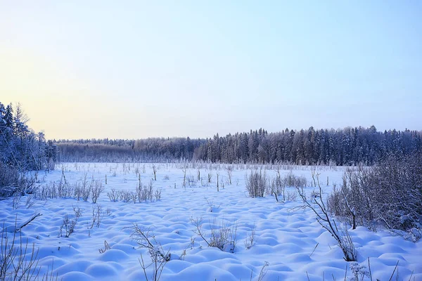 Inverno Árvores Paisagem Cobertas Com Geada — Fotografia de Stock