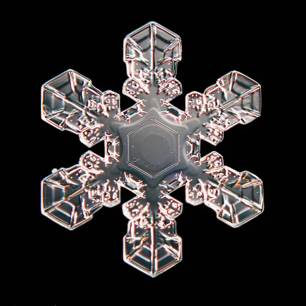 Snowflake Isolated Black Background Natural Photo Crystal Winter Design — Stock Photo, Image