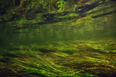 Göldeki su altı geçmişi soyut, temiz tatlı su.