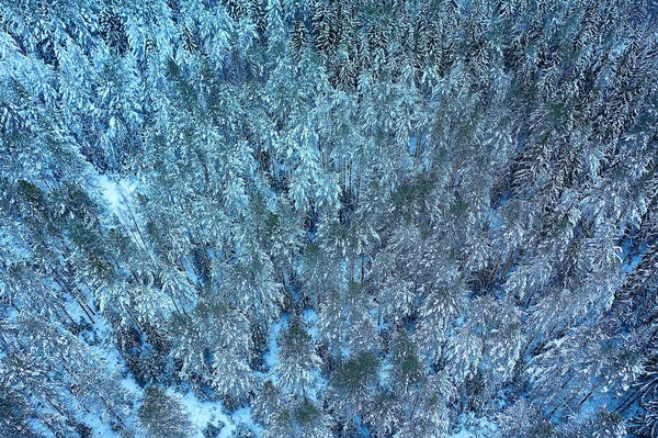 树木森林霜冻顶景背景 抽象无人机景观自然季节冬季云杉 — 图库照片