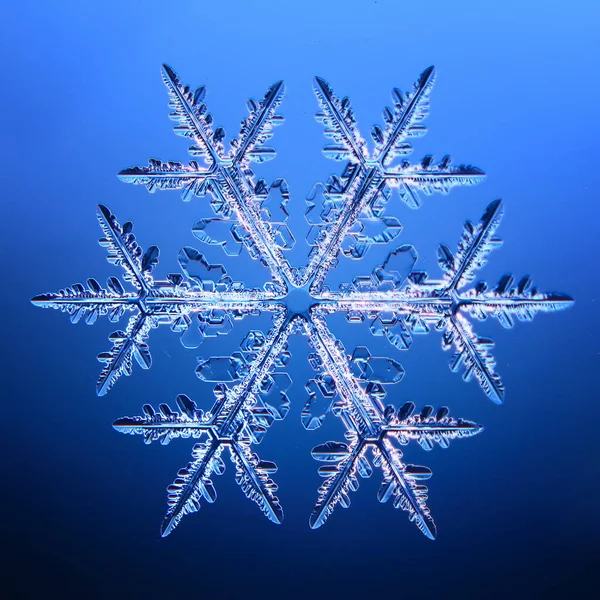 Floco Neve Cristal Natural Único Isolado Transparente Abstrato Foto Fundo — Fotografia de Stock