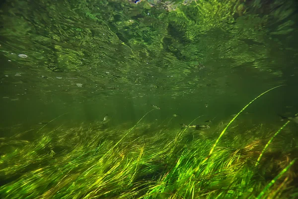 Абстрактний Підводний Фон Озері Чиста Прісна Вода — стокове фото