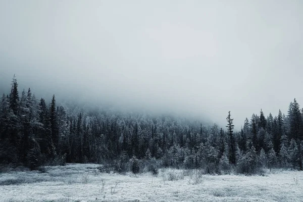 Autunno Nebbia Paesaggio Foresta Montagne Alberi Vista Nebbia — Foto Stock