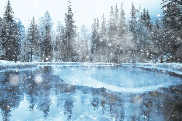 间歇泉蓝湖阿尔泰冬季风景山湖温泉 — 图库照片