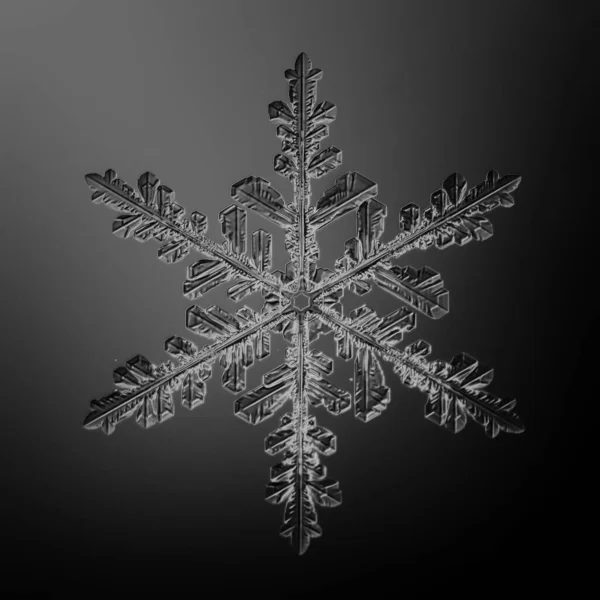 Zwarte Achtergrond Sneeuwvlok Geïsoleerd Abstract Object Winter Detail — Stockfoto