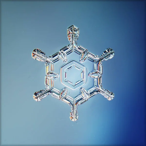 Snowflake Crystal Macro Photo Natural Object Winter Design — Stock Photo, Image