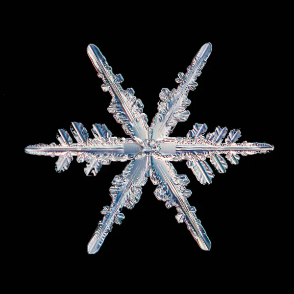 Snowflake Isolated Black Background Natural Photo Crystal Winter Design — Stock Photo, Image